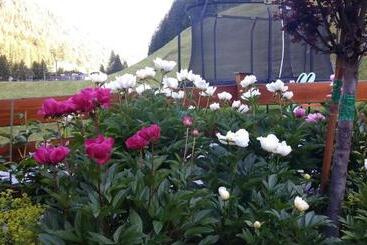 Fremdenpension Alpenruhe