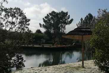 膳宿费 Amor De Crianca