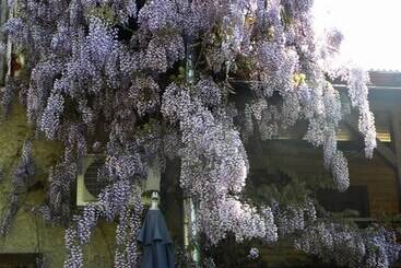 پانسیون B&b Casa Mica Guesthouse