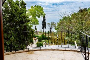 פנסיון Complex Maxim