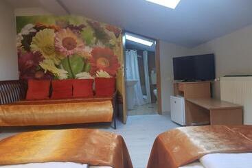 Pensiunea Paloma 3 Stele Brasov