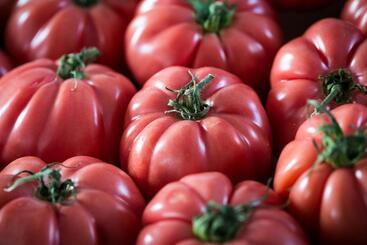 ペンション Fonda Barris