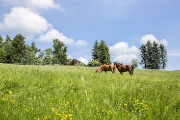 膳宿费 Landhaus Bergidyll