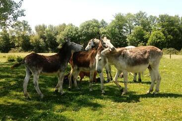 펜션 Molinos De Antero