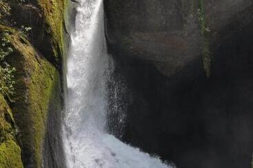 Отель Sueños Del Bosque Lodge