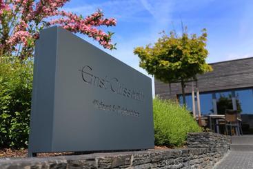 ペンション Ernst Clüsserath Weingut & Weinhotelchen