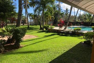 Don Cesar
