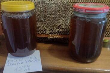 פנסיון Villa Nasco