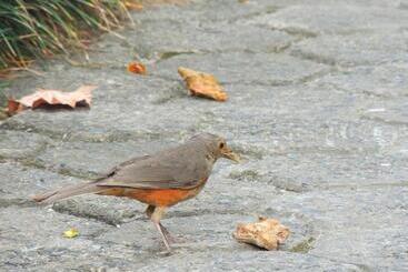 הוסטל Marinas Pousada