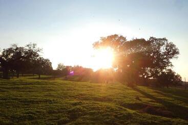 펜션 Casa De Campo Alter Pedroso