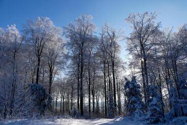 Pension Haus Am Walde