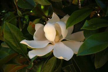 아파트호텔 Residence Fiorenzo