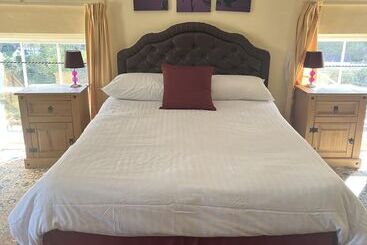 Общежитие Tontine Hotel & Bar