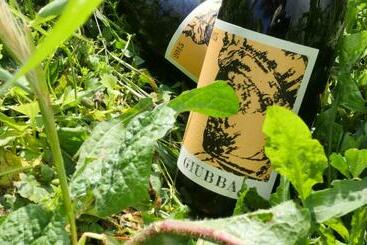 בית מלון כפרי Agriturismo Macea