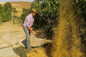 فندق Masseria Xireni