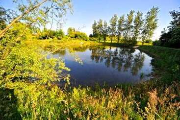 פנסיון Domaine De La Bellière