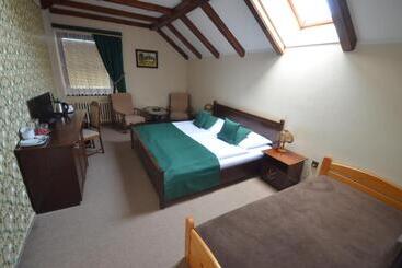 Пансион Villa žerotín Penzion Bed & Breakfast