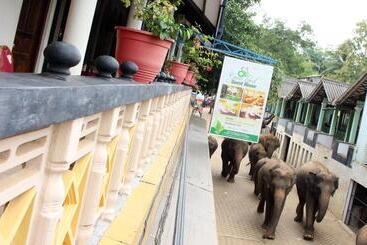 ペンション Green Land Guest House