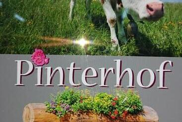 Отель Pinterhof