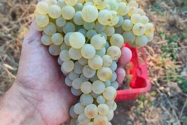 فندق Agriturismo Colle Vento