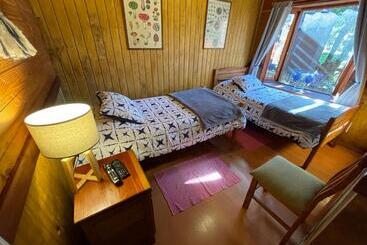 Общежитие Hostal Pucon Sur