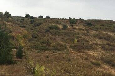 פנסיון Nruta Ponferrada