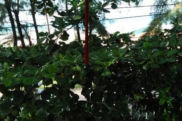 پانسیون Nguyet Anh Guesthouse