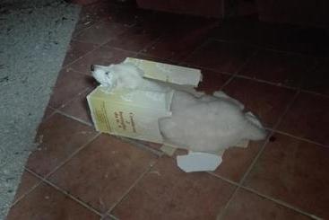 هتل Casa Siciliana Altarbiah