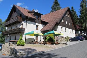 Пансион Penzion Alpský Dům