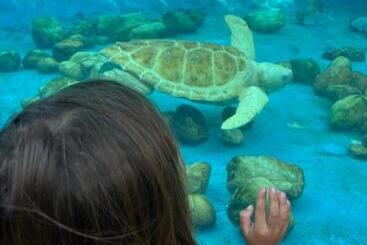 펜션 Pousada Bar Café Algas Marinhas