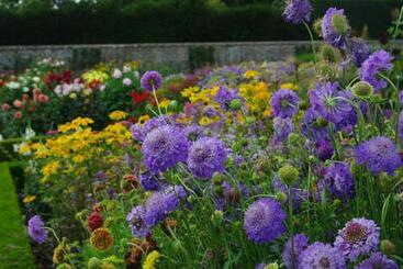 فندق House Arundel