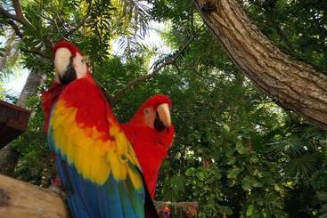 هتل Pura Vida Backpackers Golfito