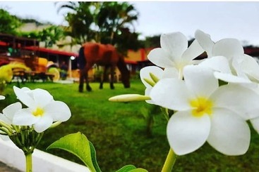 펜션 Pousada Garanhuns