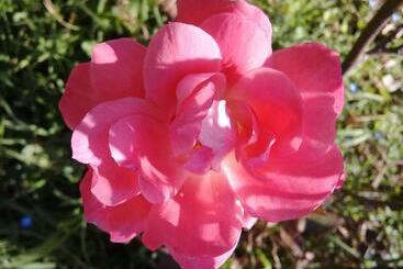 민박 Varuna  En La Casa De Nanda