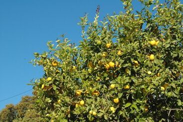 تختخواب و صبحانه Jingtu Wellness & Spa Resort