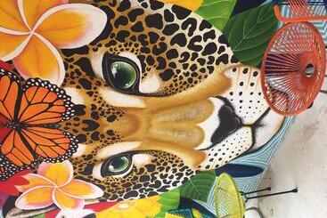 酒店 Soho Boutique Holbox  Adults Only