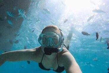 Bed and Breakfast Sweet Home