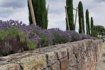Das Landhotel Weingut Gernert