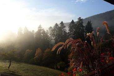 פנסיון Landhaus Waldeshöhe