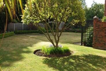 ベッドアンドブレックファースト Wentvale