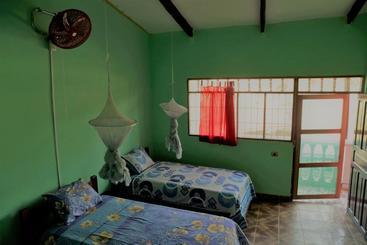 پانسیون Perezoso Hostel