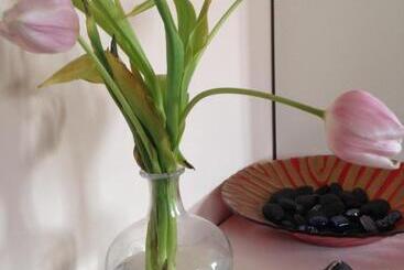 צימר Viamilano25