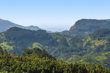 Anasa Wellness Resort