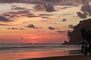 Flutterby House Hostel