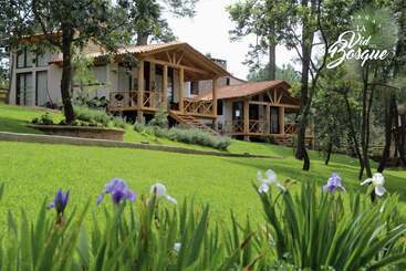 فندق Cabañas La Vid Del Bosque