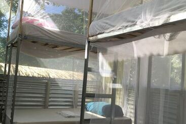 Osa Jungle Hostel