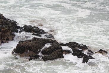 Hostel La Posada De Gallo