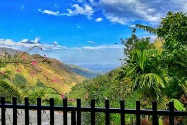 פנסיון Divine View Homestay