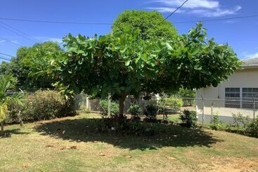 تختخواب و صبحانه Ritashomeawayfromhome