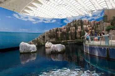 酒店 Imperia Hôtel Et Suites Boucherville